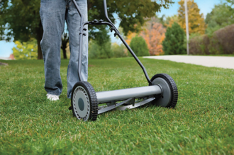 Go Green in Your Lawn and Garden This Spring