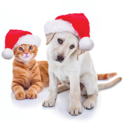 Holiday Gifts for Four-Legged Family Members