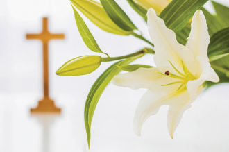 Meanings Behind the Easter Lily