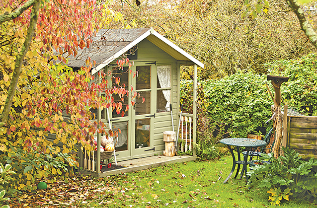 Establish Winter Habitats for Backyard Animals