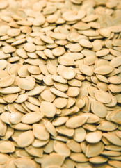 How to Prepare and Cook Pumpkin Seeds