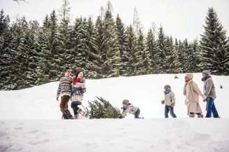 A Guide to Picking the Perfect Fresh Christmas Tree