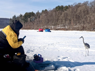 Ice Fishing: It Puts Food on the Table