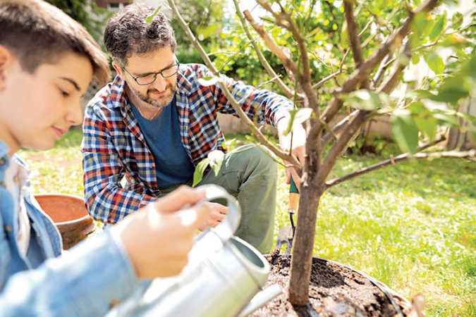 Tree Talk Four Tips for Planting Trees