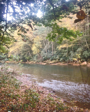 Nymphing in the Fall