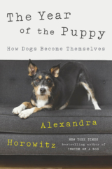 The Bookworm Sez: “The Year of the Puppy: How Dogs Become Themselves” by Alexandra Horowitz
