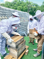 Area Episcopal Churches Welcome New Honeybee Hives on Earth Day