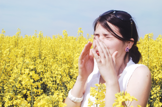 Common Allergy Triggers