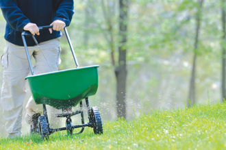 The Basics of Fertilizing a Lawn