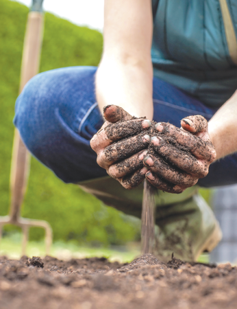 How to Prepare Soil for Spring Planting