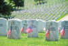 Memorial Day Events in Our Area