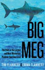 The Bookworm Sez: “Big Meg: The Story of the Largest and Most Mysterious Predator that Ever Lived” by Tim Flannery and Emma Flannery