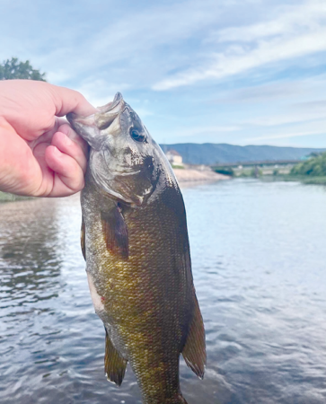 Fourth of July Bass