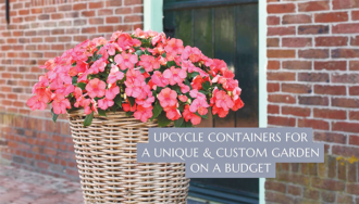 Add Color to Your Garden With Affordable Impatiens