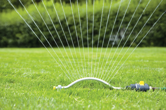 Is Your Lawn Getting Enough Water?