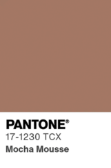 2025 Color of the Year