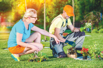 Six Steps to Spring into Lawn and Garden Care