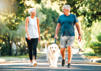 Harness the Power of Walking