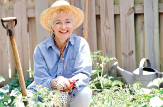 Perennials to Consider for Your Garden This Year