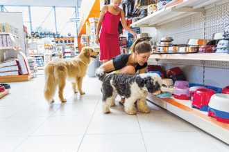 Dog Parents Can Practice Pet Etiquette