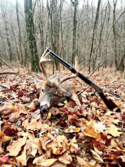 Out With the New, In With the Old