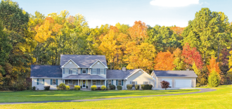 How Trees and Plants Can Change the Look of a Landscape