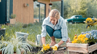 Grow Healthier Plants (and Use Less Water) By Improving Your Soil