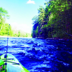 Paddle.