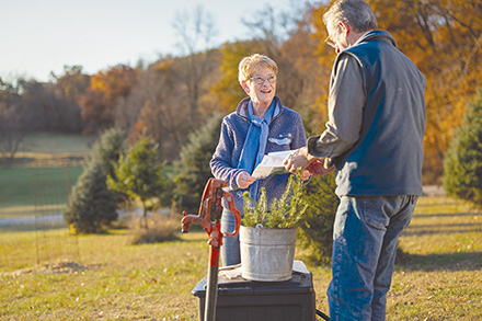 Fall Tree Planting: Expert Guidance for Optimal Growth