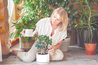 A Guide to Growing Thriving Plants Indoors