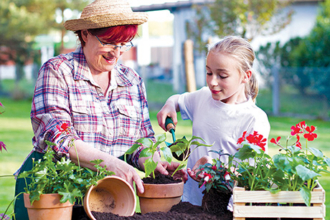 Low Maintenance Landscape Features