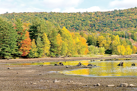Rose Valley Lake
